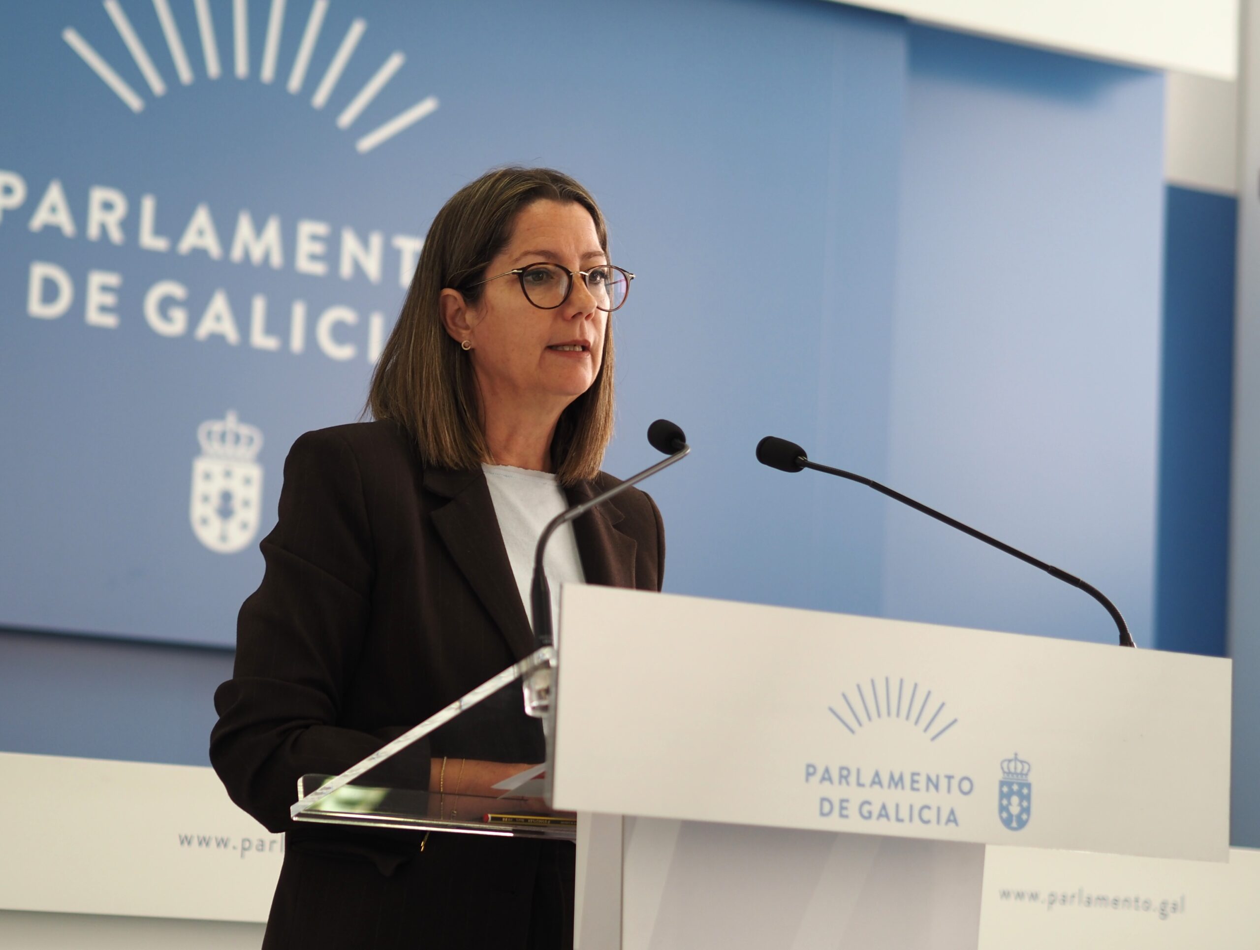 El PSdeG llevará al Pleno del Parlamento de Galicia propuestas sobre sanidad y vivienda